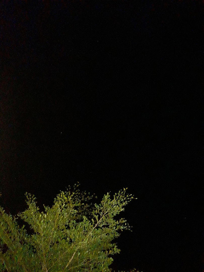 Nadzilla profile icon