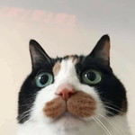 ormi geee profile icon