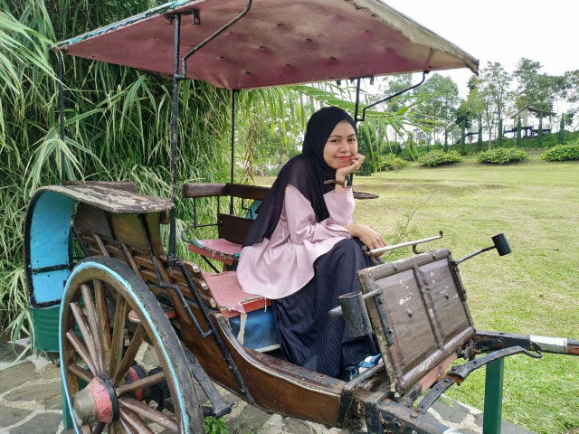 Rosdyana Dewi Aufha profile icon