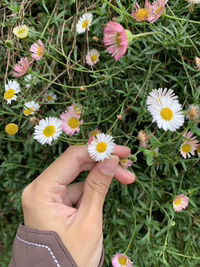 Shofiyyah Nida profile icon