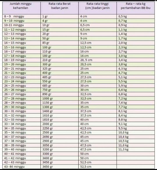 Saling bantu membantu 🤗