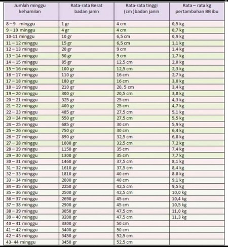 Saling bantu membantu 🤗