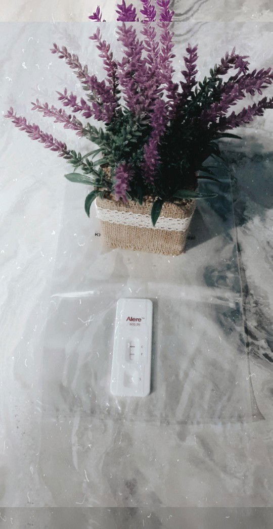 Lily yu profile icon