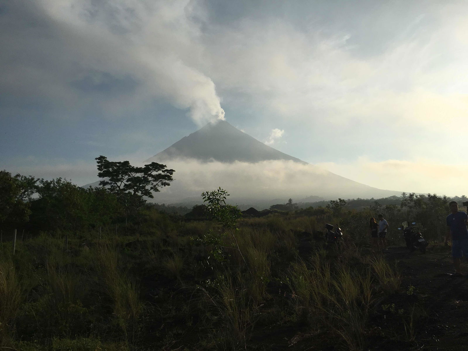 rachel silvestre profile icon