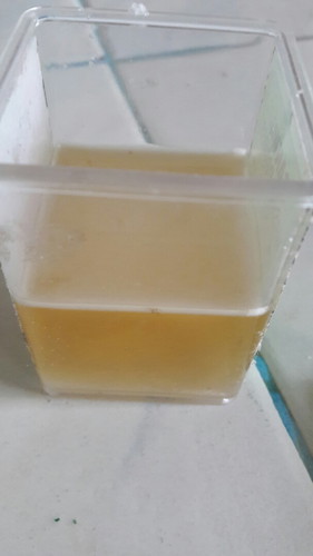 salt+urine