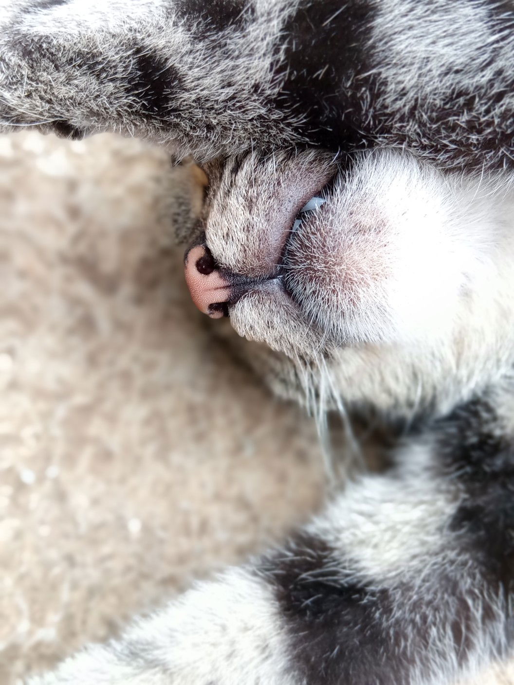 Indriyanti Lestari profile icon