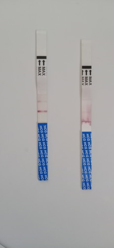 adakah saya pregnant?