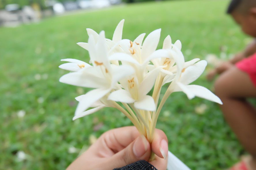 Chonticha profile icon