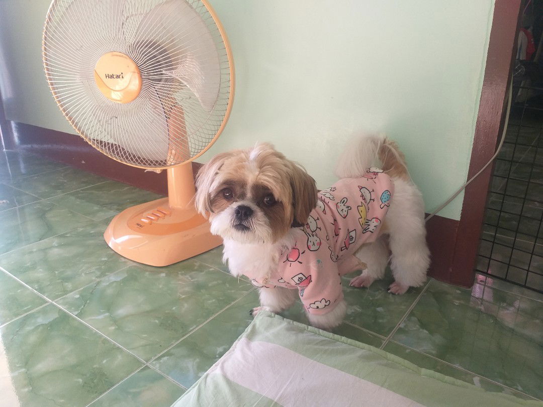 bbwitch profile icon