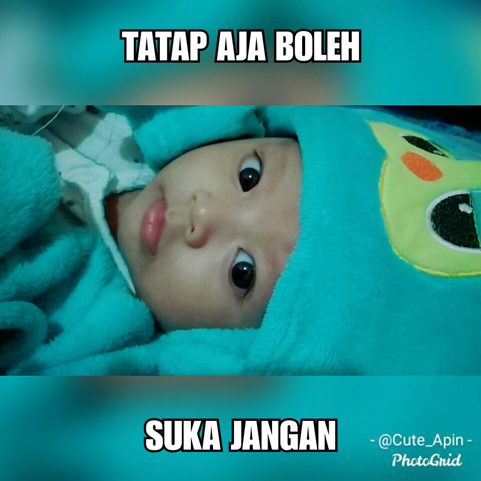 cerita tentang rasa terima kasih