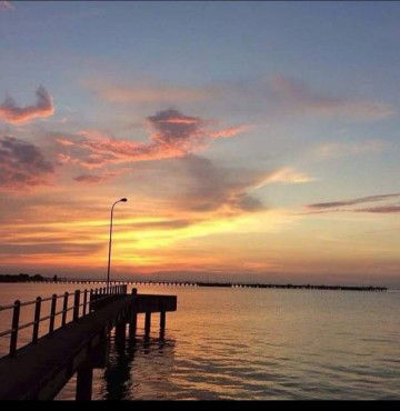 ana ardiant profile icon