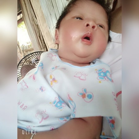 ขอดูเจ้าแก้มของแต่ละบ้านหน่อยจ้า