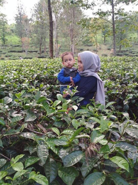 Titi Tilawati profile icon