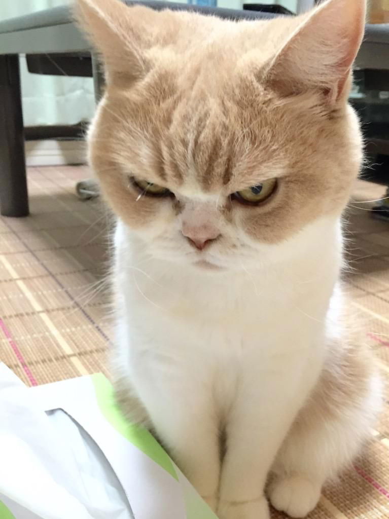 mumiiya m profile icon