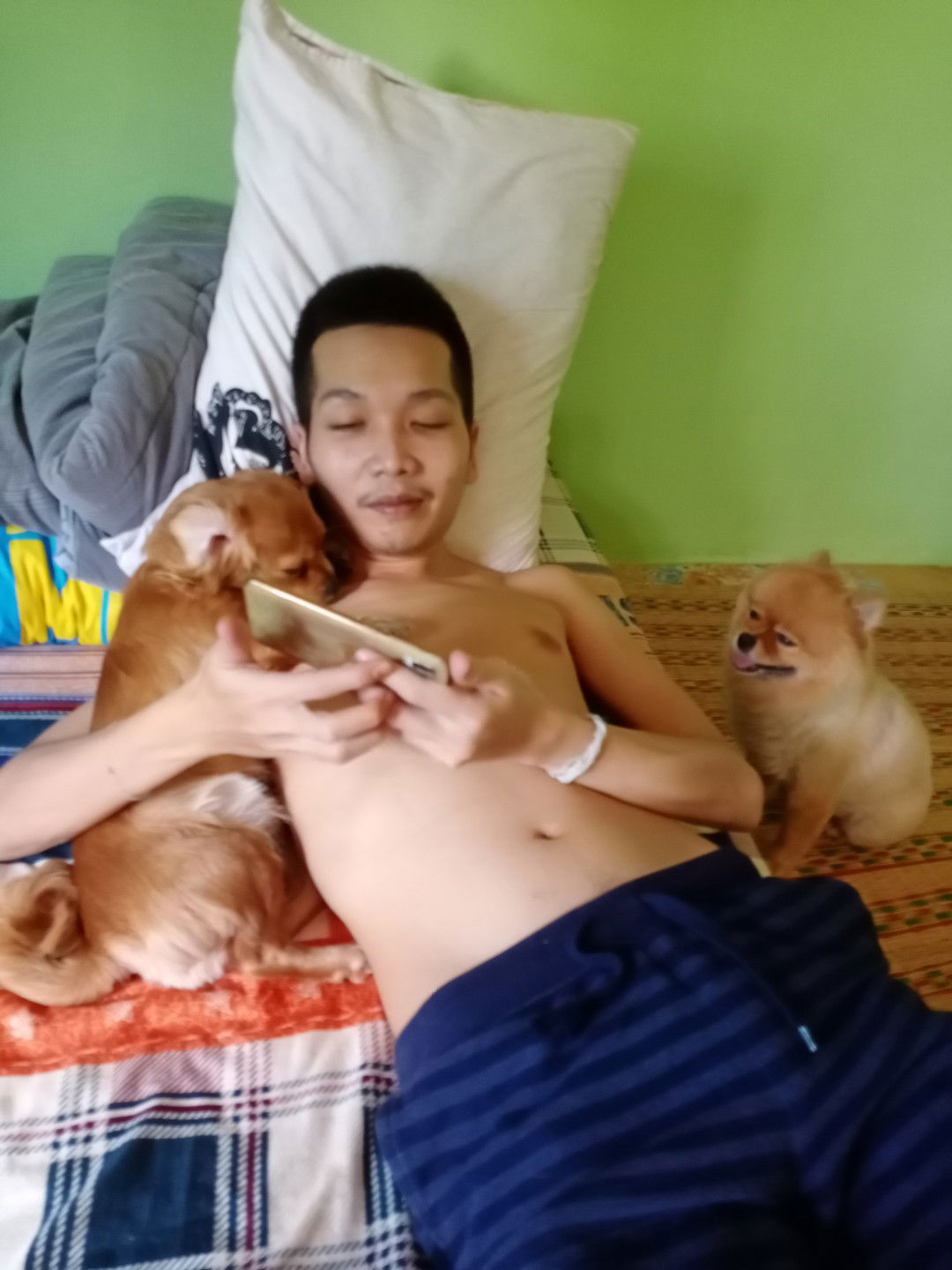 มีลูกไม่ทิ้งหมา