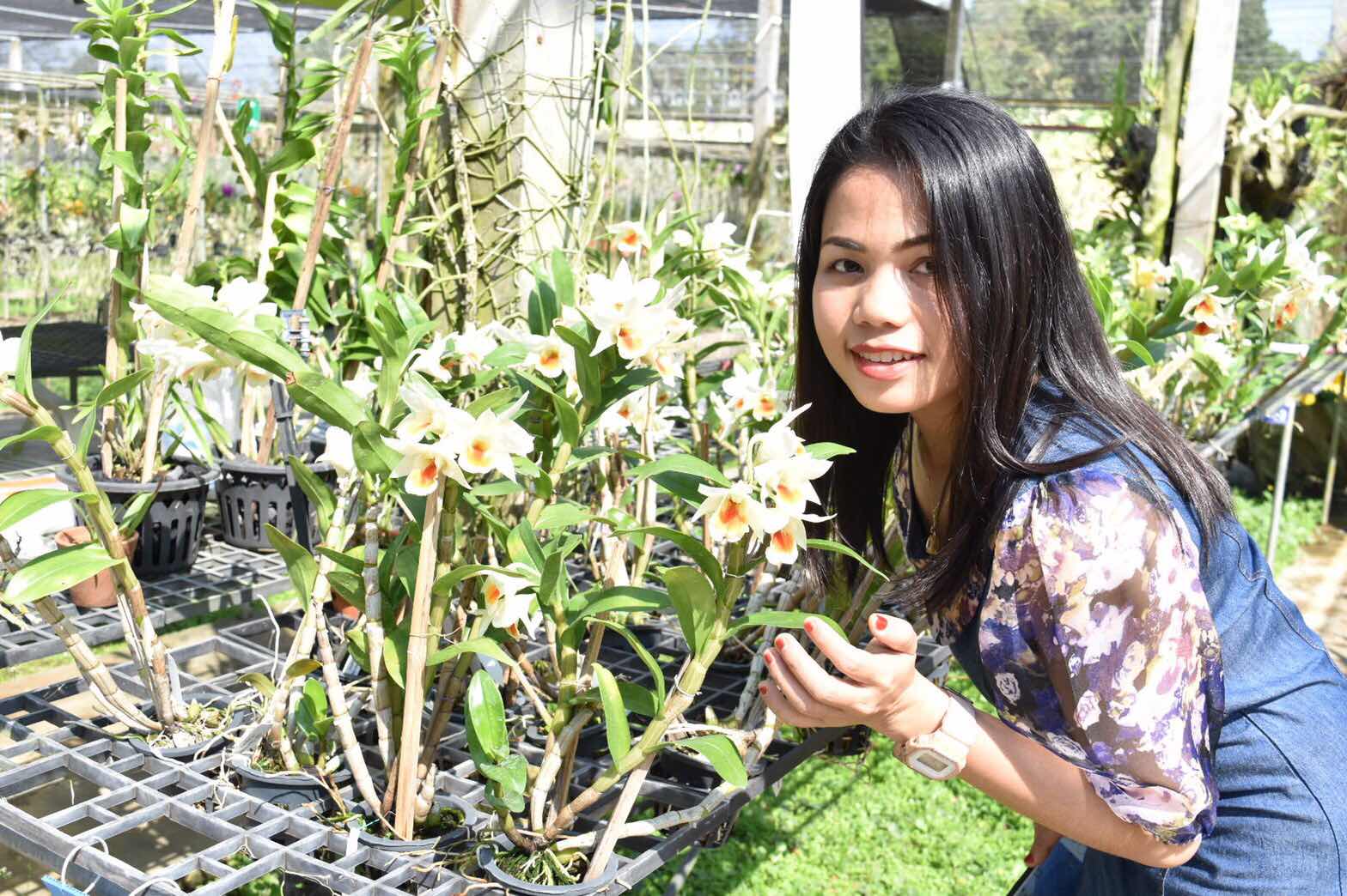 NongSingha profile icon