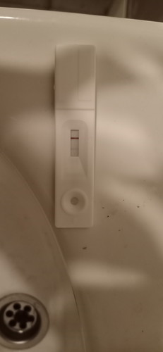 test kit pregnancy