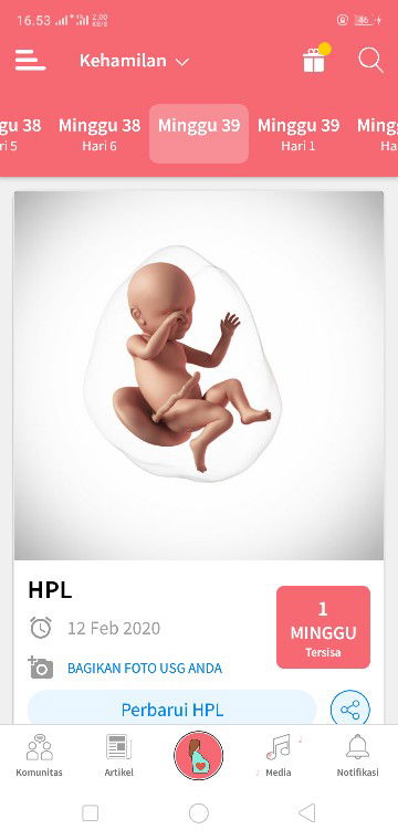 kehamilan