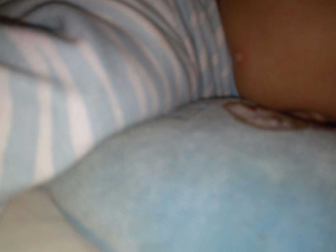 ada yg tau gak ini apa ?