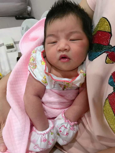 น้องเปาเปา