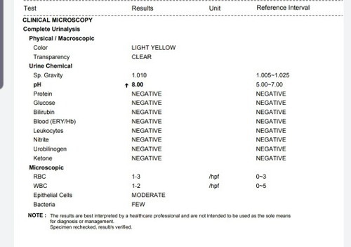 Urinalysis Result please help