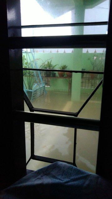 dini n.s profile icon