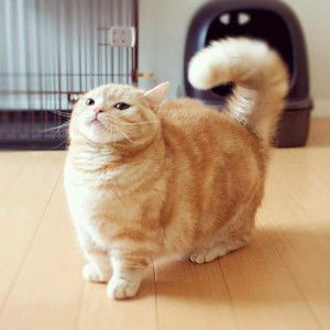 Arlisala Huantakoon profile icon