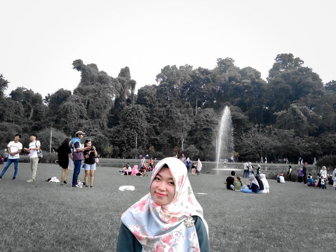 Dedehalisa profile icon