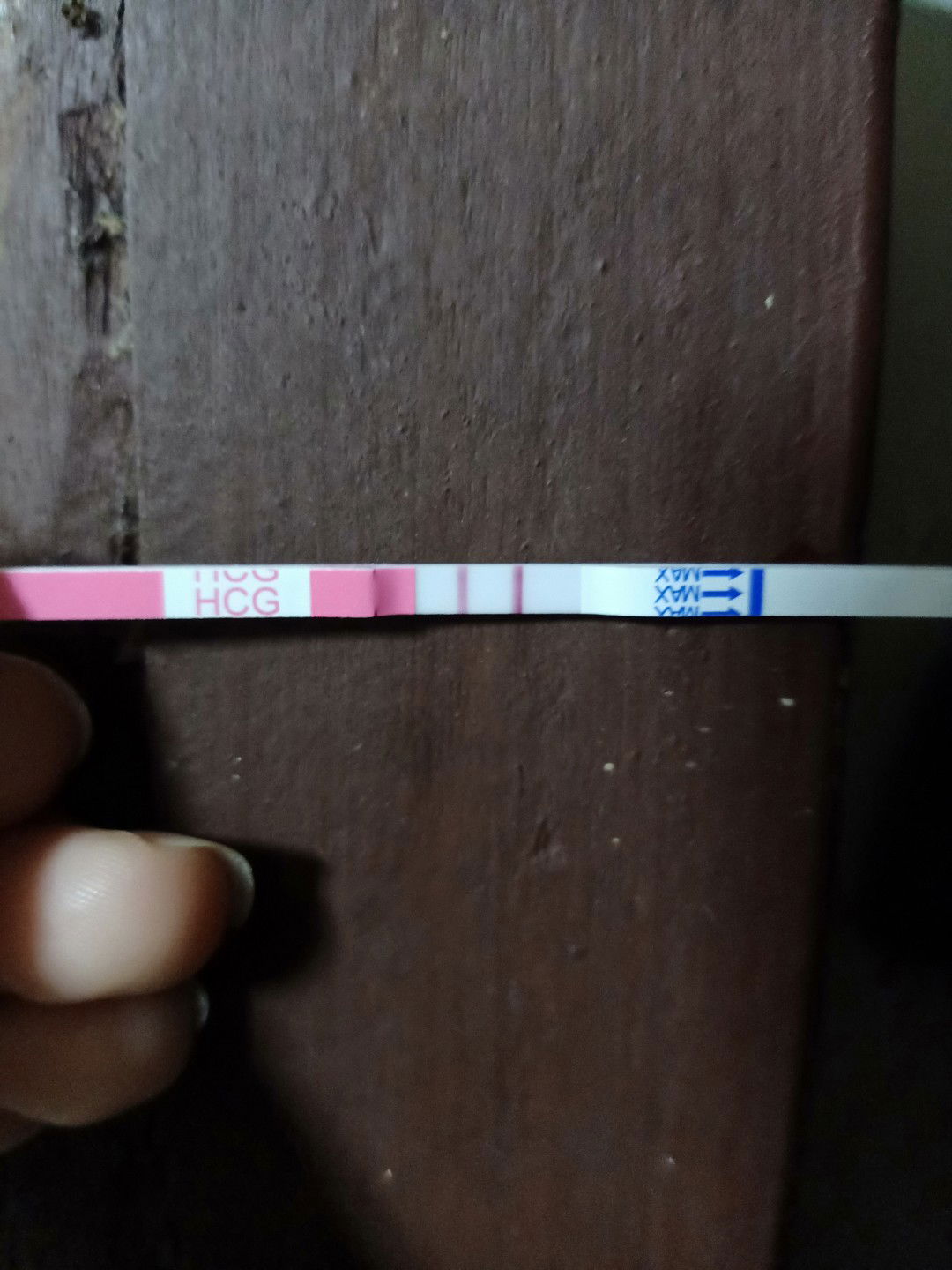 ตั้งครรภ์