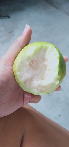 guava