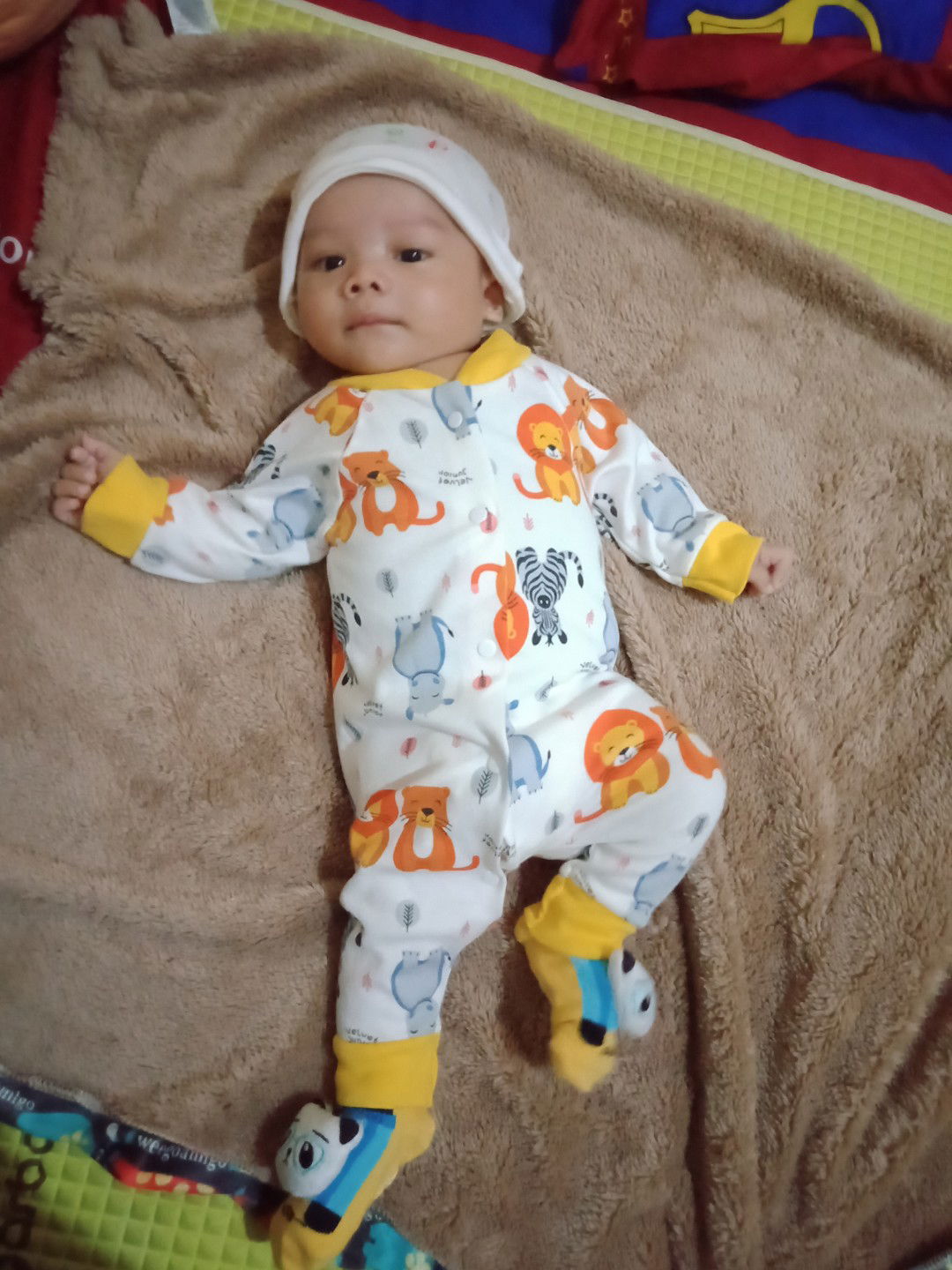 Febi Rahmawati profile icon