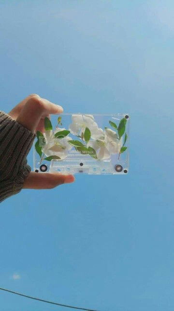 นาเนีย profile icon