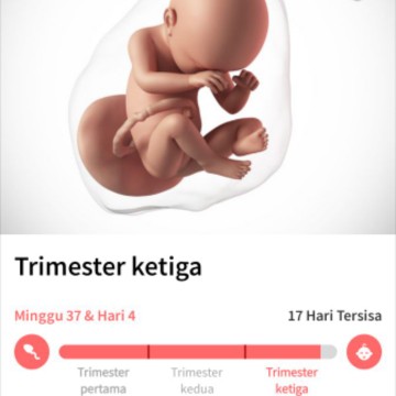 induksi alami