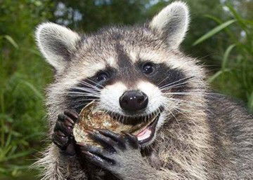 fida nurami kurnia profile icon