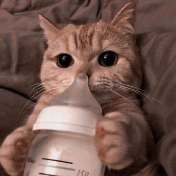 Panadda profile icon