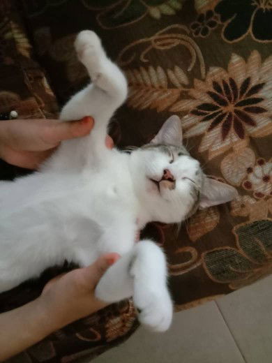 Izz Small profile icon