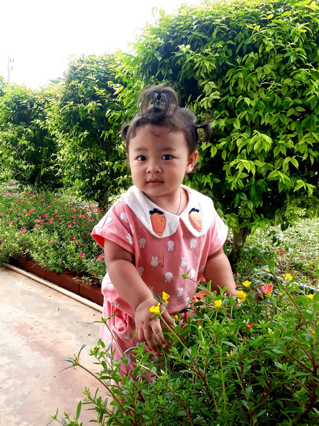 เมย์ ฌาลีมา profile icon