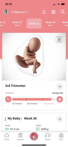 36 weeks pregnant 🤰🏻