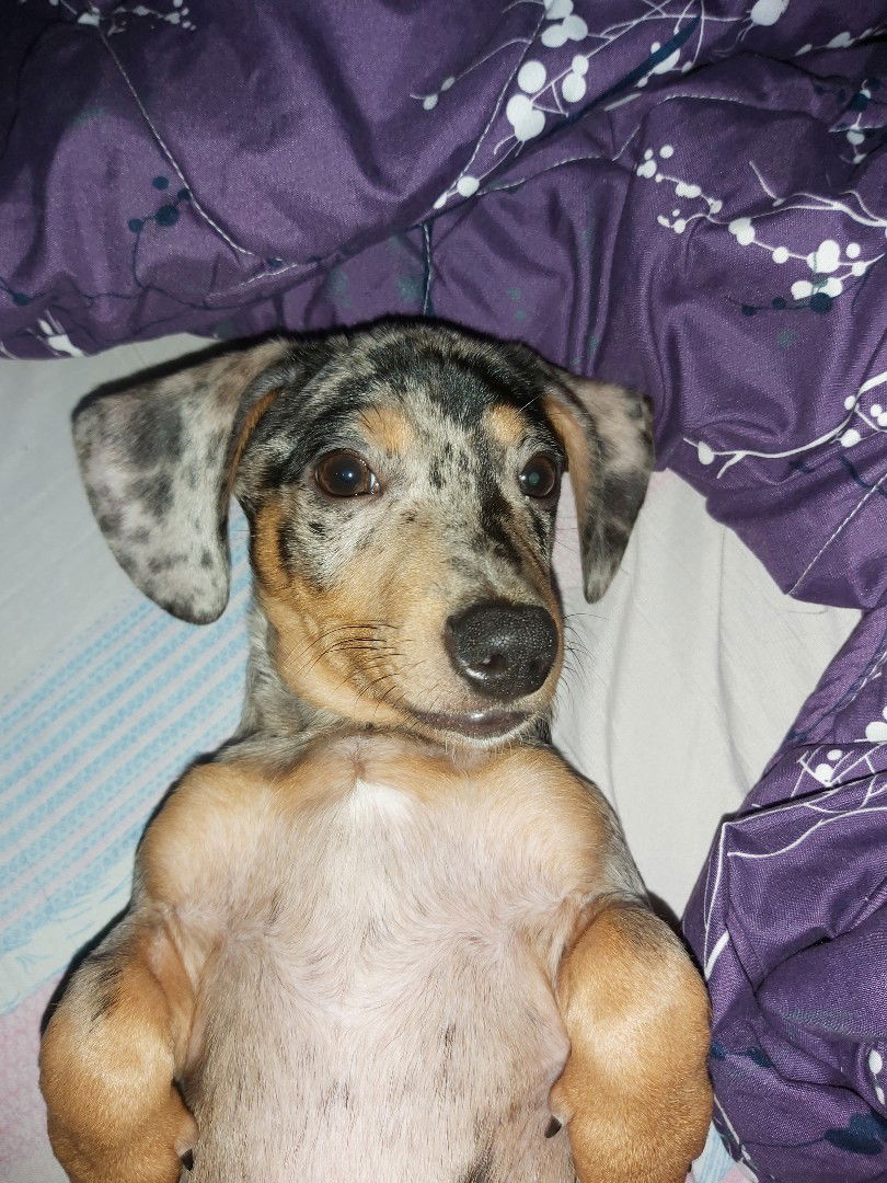 Jem Castillo profile icon