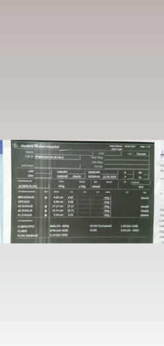 เพศ