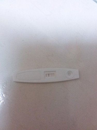 pregnant atau tidak