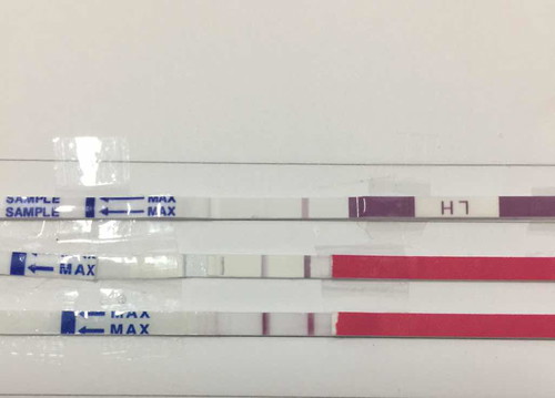 OPK