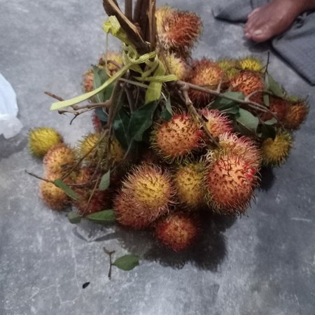 buah buahan