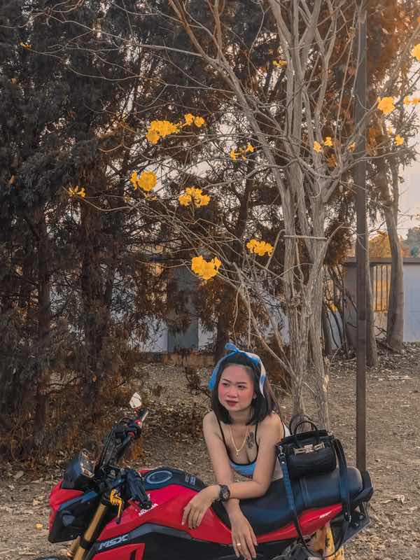 She Nam profile icon