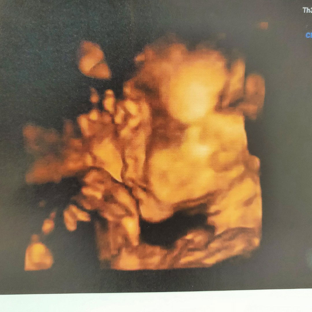 ณัฐการย์ หัสดินทร ณ อยุธยา profile icon