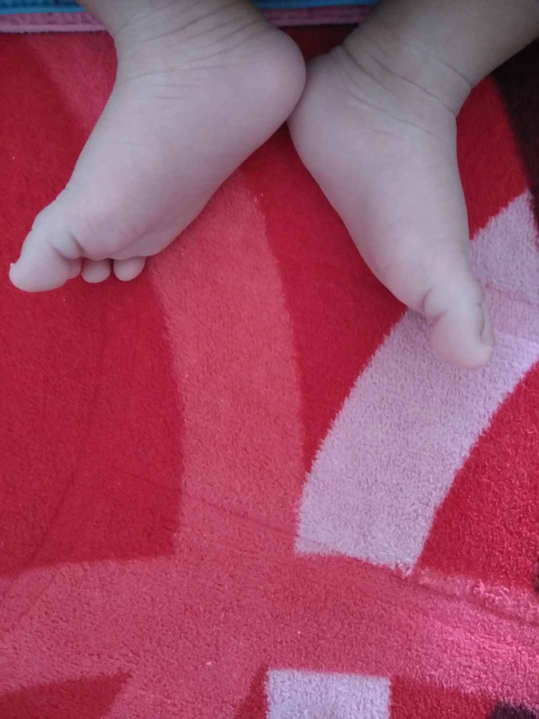 Lolya Afrina Safitri profile icon