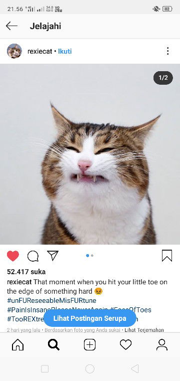 Dina Afiantri profile icon