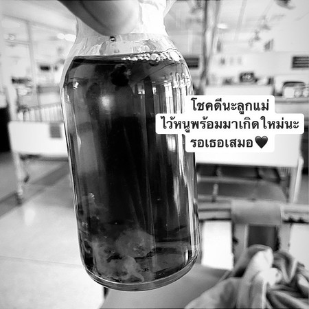 แล้วหนูก็จากแม่ไป?