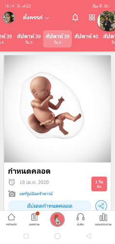 กำหนดคลอด