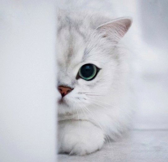 Wooronuch Distha profile icon